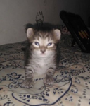 Hello kitty is my friend :)