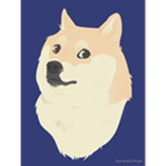 Team Doge(official)