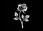 .Black Rose Gang - Admins.