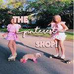 the pinterest shop