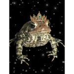 ForeverFrogsWeLoveThem
