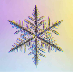 MERRY CHRISTMAS!