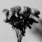 Wilted Threads
