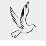 The White Doves.