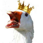 BlueGoose Entertainment