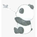 Winnie’s Pandas!
