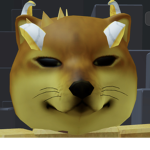 Dog11