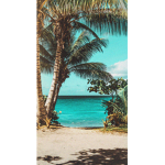 Tropical Charley <3