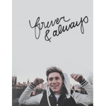 Niall Horan Fans!