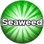 Seaweed!