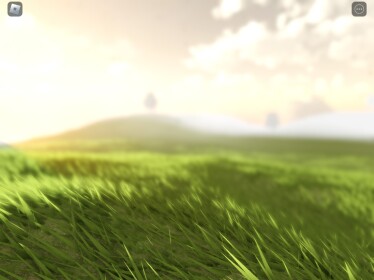 Field