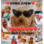 Zoe’s closest