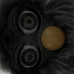 Weezer Beans