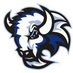 Boise Bison [Travel Basketball Team]
