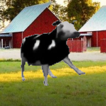 Cool Cows Inc.