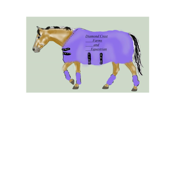 KawaiiHorsegirl123's Place Number: 13