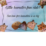 Little hamster fan club