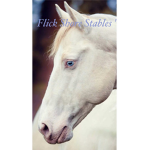 ' Flick Shore Stables '