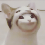 Official R QAL ROBLOX