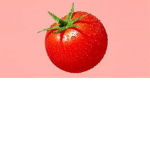 tomato gang all for one