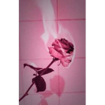 'OSAS'