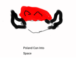 Polandwillintospace