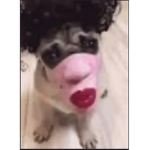 Lulu_lemon028 13+