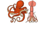|+| " The Squid - Octo Alliance " |+|