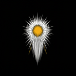 The Celestial Order (Ether) Group Thumbnail