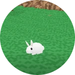 Become Co-Owner forever