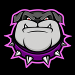 Bulldog Brazy Studio