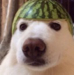 TeamBugaLoOBacons