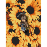 xxsunflower_loverxxx Sunflower Squad