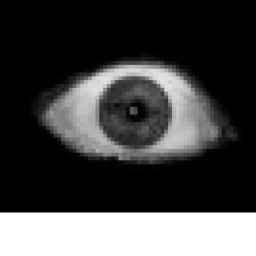 Horror game icon