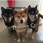 The Doggo Crew