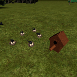 Bird Forest