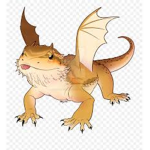 DRACO STUDlOS