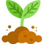 PLANT_LAND