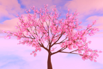 Cherryy Blossomsss