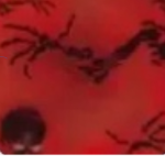 Person_dragon