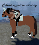 Oak Wood Equestrian Academy