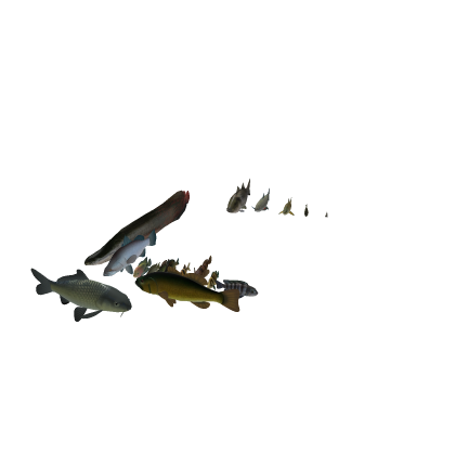 Freshwater fish ai