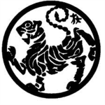 Karate academy training