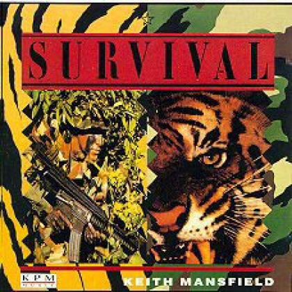 Combat Ready Roblox music