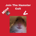 So Much Fun For The Hamsters !