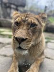 Maddy_Evelyn_gaming