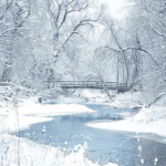 snowsi