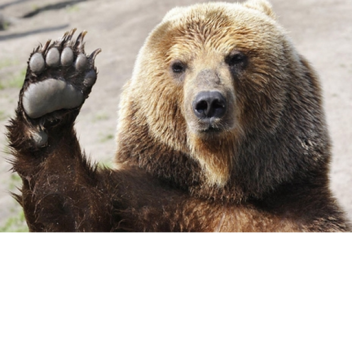  Project CamGonne 21° N, 31