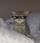 Free rob just join my group…