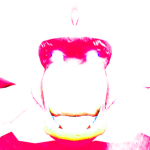 Souls from the Abyss